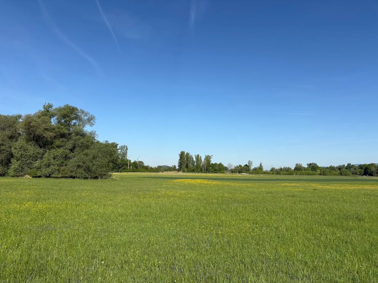 Blumen Woidbein