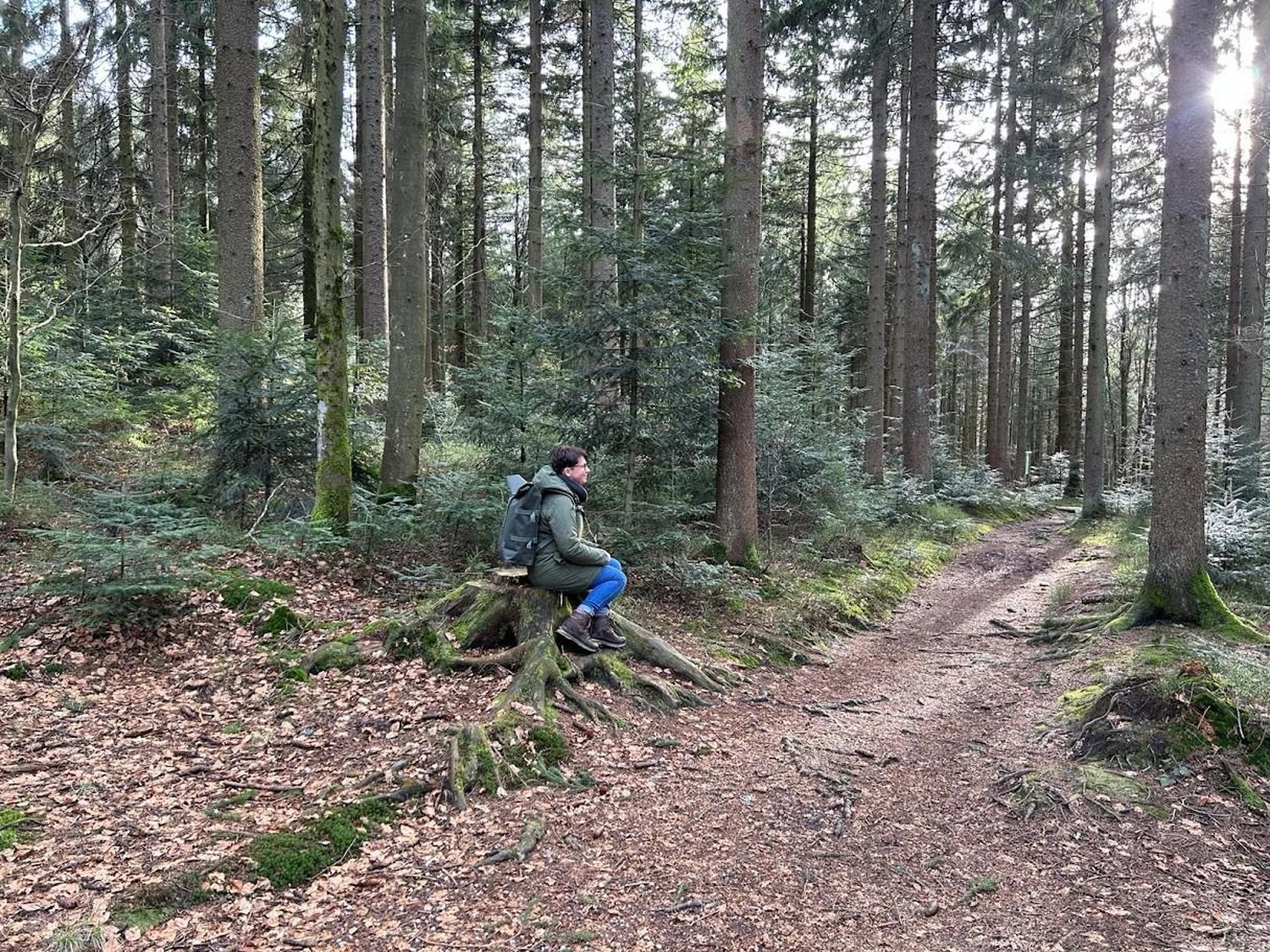 gefallene Blätter Woidbein